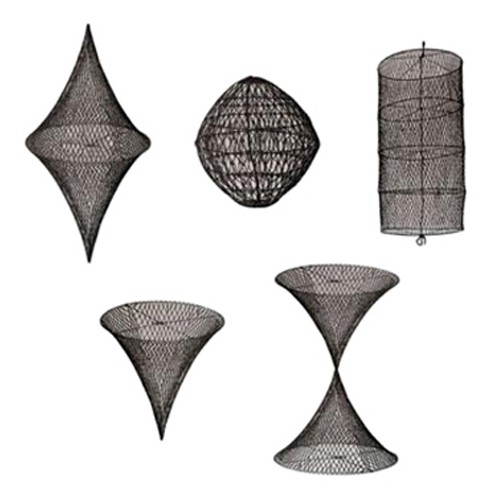 Understanding Marine Day Shapes